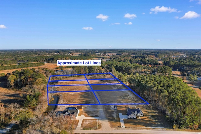 113 Rena Ln, Conway, SC 29527 - photo 3