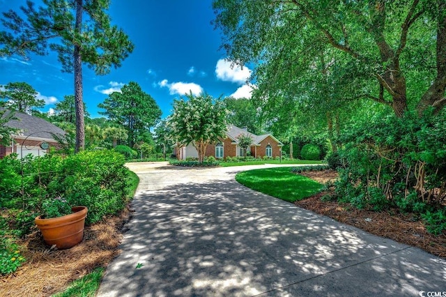 3535 Golf Ave, Little River, SC 29566 - view of front facade featuring driveway