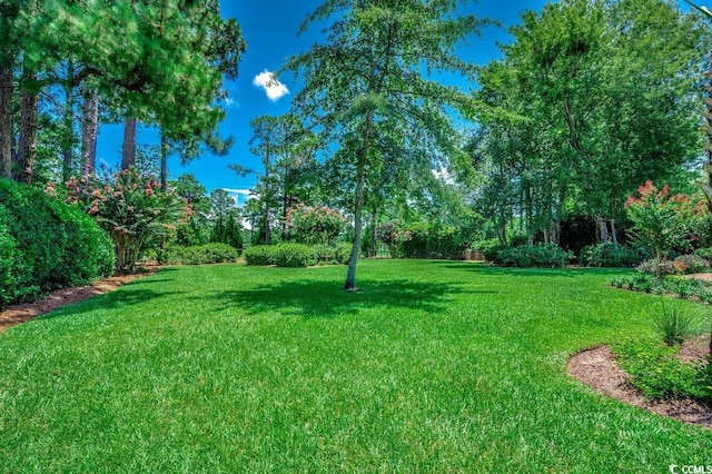 3535 Golf Ave, Little River, SC 29566 - view of grassy yard