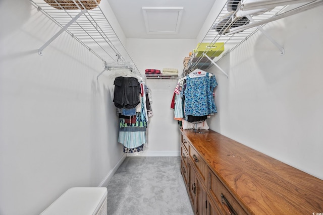371 Sea Turtle Dr, Myrtle Beach, SC 29588 - walk in closet with attic access and light colored carpet