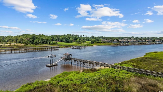 4358 River Gate Ln Unit F, Little River, SC 29566 - photo 38