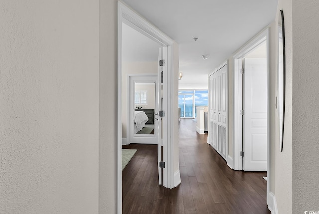 2701 S Ocean Blvd Unit 705, North Myrtle Beach, SC 29582 - hall with a textured wall and dark wood-style flooring