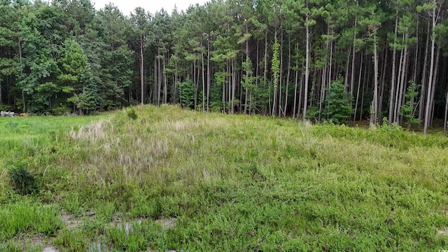 TBDLOT4-C Dossies Rd, Conway, SC 29526