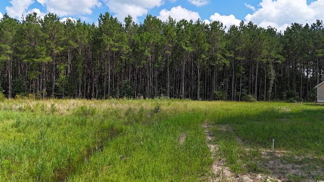 TBDLOT4-C Dossies Rd, Conway, SC 29526