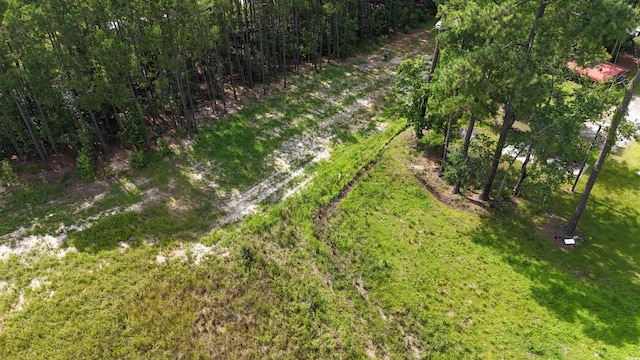 TBDLOT4-C Dossies Rd, Conway, SC 29526