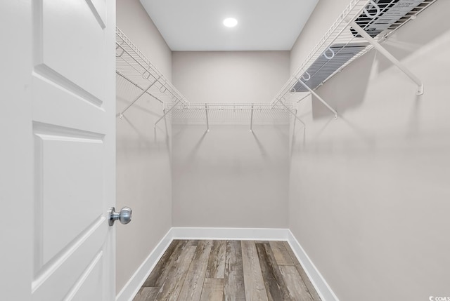 202 Clam Digger Loop, Pawleys Island, SC 29585 - walk in closet with wood finished floors