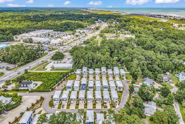 202 Clam Digger Loop, Pawleys Island, SC 29585 - aerial view of property's location with a heavily wooded area and a large body of water