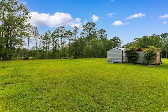 1911 Dirty Branch Rd, Conway, SC 29527 - photo 26