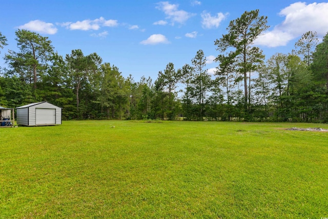 1911 Dirty Branch Rd, Conway, SC 29527 - photo 25