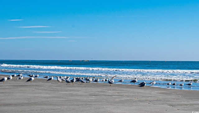 1005 28th Ave S, North Myrtle Beach, SC 29582 - water view with nearby beach