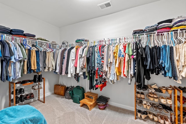 3909 On Deck Cir, Little River, SC 29566 - spacious closet with carpet flooring