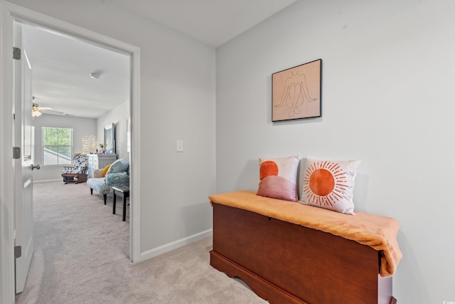 3909 On Deck Cir, Little River, SC 29566 - hall with light colored carpet and baseboards