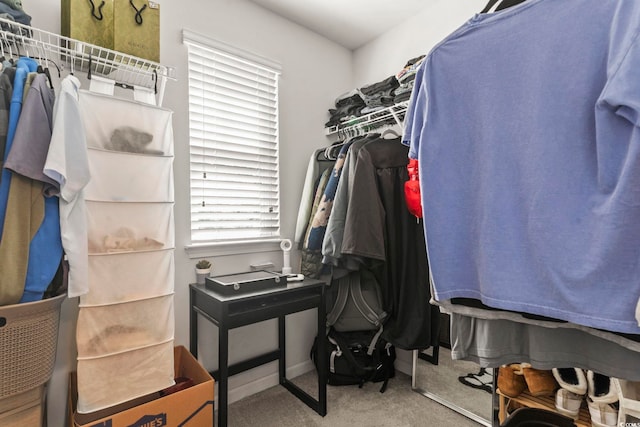 1117 Fairway Ln Unit 1117, Conway, SC 29526 - spacious closet featuring carpet floors