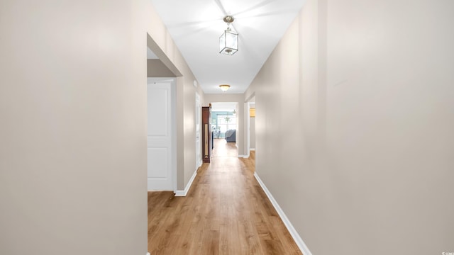 1201 Midtown Village Dr, Conway, SC 29526 - hall featuring light wood-style floors and baseboards