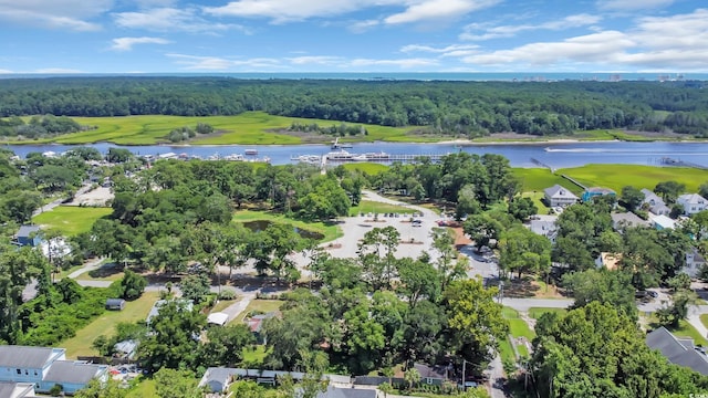 1553 Watson Ave, Little River, SC 29566 - aerial view of a heavily wooded area and a large body of water