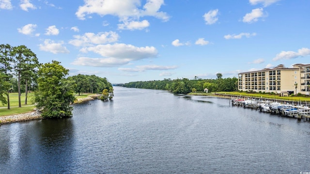 265 Venice Way Unit 1-404, Myrtle Beach, SC 29577 - water view