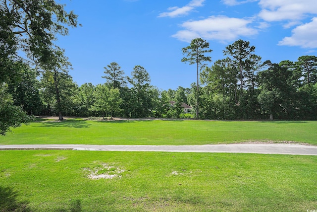 620 River Oaks Dr Unit 53-F, Myrtle Beach, SC 29579 - photo 27