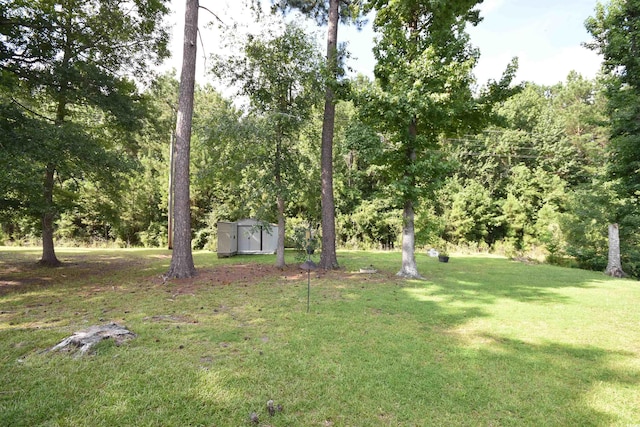 240 Yadkin Ave, Georgetown, SC 29440 - view of green lawn with a storage unit