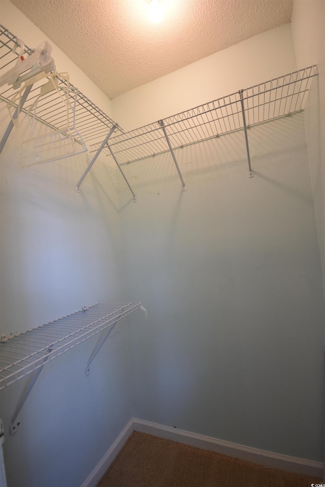 240 Yadkin Ave, Georgetown, SC 29440 - view of spacious closet