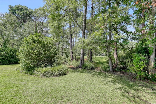 1734 Crooked Pine Dr, Myrtle Beach, SC 29575 - photo 11