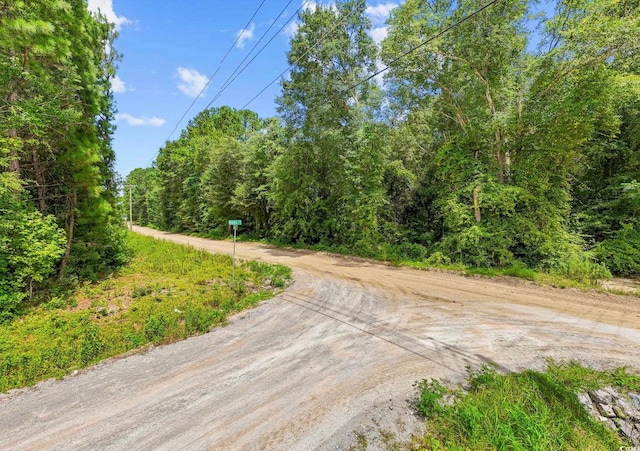 TBD Plainfield Rd, Galivants Ferry, SC 29544 - photo 15