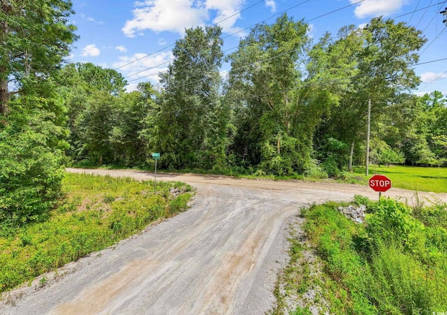 TBD Plainfield Rd, Galivants Ferry, SC 29544 - photo 14
