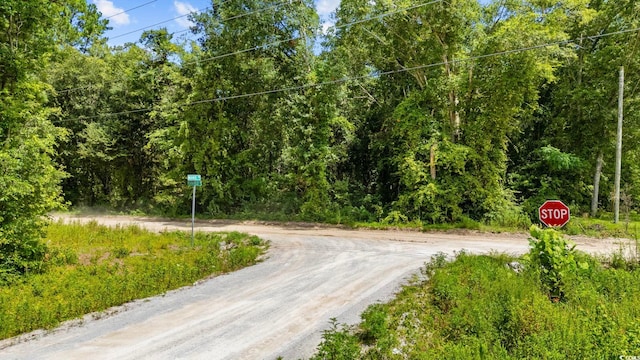TBD Plainfield Rd, Galivants Ferry, SC 29544 - photo 13