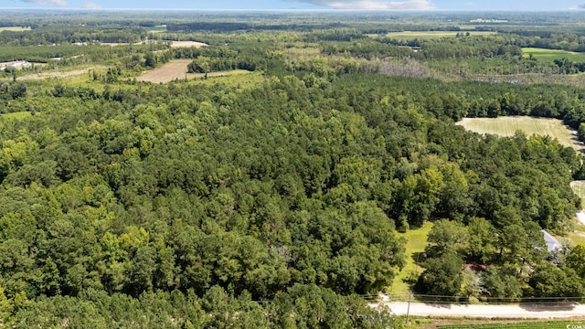 TBD Plainfield Rd, Galivants Ferry, SC 29544 - photo 12