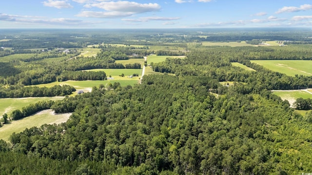TBD Plainfield Rd, Galivants Ferry, SC 29544 - photo 11