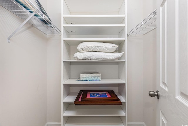 6014 Catalina Dr Unit 413, North Myrtle Beach, SC 29582 - view of spacious closet