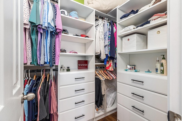 6014 Catalina Dr Unit 413, North Myrtle Beach, SC 29582 - view of spacious closet
