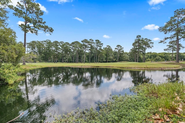 603 Bucks Trl, Longs, SC 29568 - water view