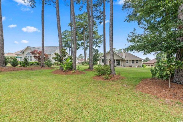603 Bucks Trl, Longs, SC 29568 - view of grassy yard