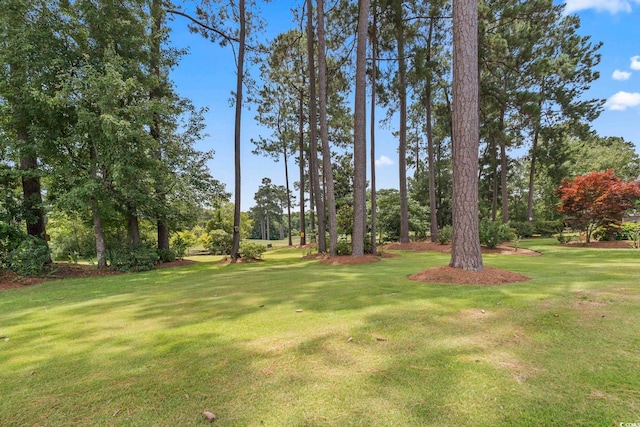 603 Bucks Trl, Longs, SC 29568 - view of grassy yard featuring view of wooded area