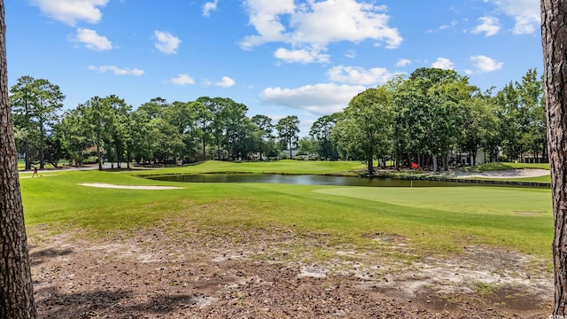 4430 Turtle Ln Unit 2-C, Little River, SC 29566 - surrounding community with view of wooded area, a yard, and a water view