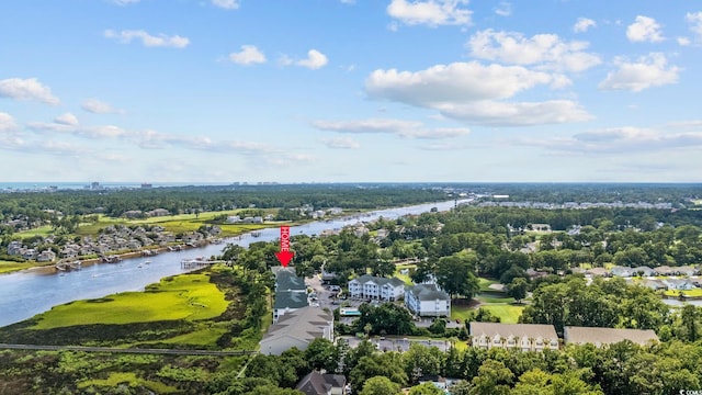 4430 Turtle Ln Unit 2-C, Little River, SC 29566 - bird's eye view of a nearby body of water and a tree filled landscape