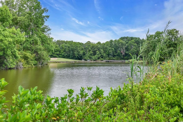 192 Hamby Dr, Pawleys Island, SC 29585 - water view featuring a forest