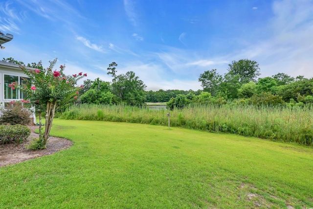 192 Hamby Dr, Pawleys Island, SC 29585 - view of green lawn