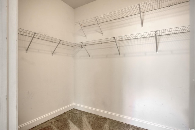 2025 Sawyer St, Conway, SC 29527 - spacious closet featuring dark colored carpet