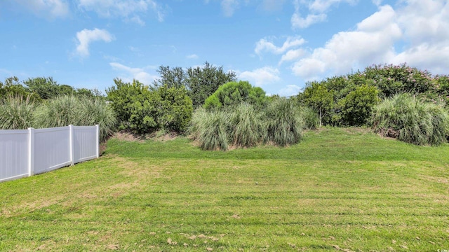 1001 Bonita Loop, Myrtle Beach, SC 29588 - view of yard