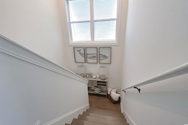 244 Gloucester Way, Little River, SC 29566 - photo 26