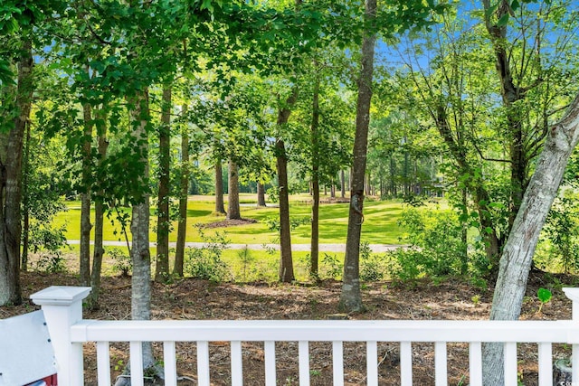 6506 Royal Pine Dr, Myrtle Beach, SC 29588 - view of yard