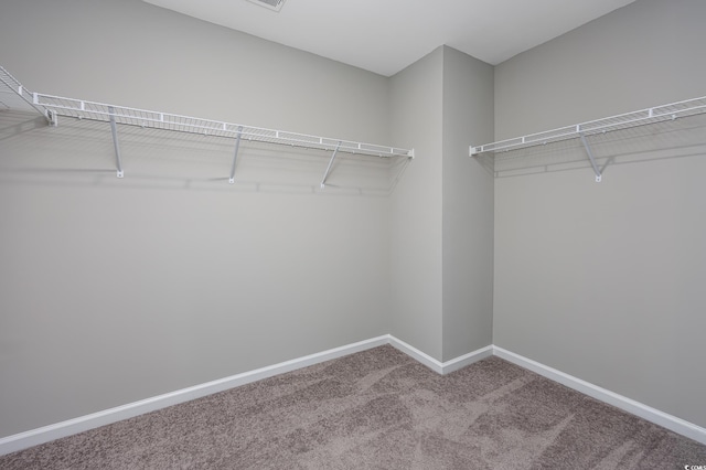131 Marauder Dr, Longs, SC 29568 - walk in closet featuring carpet floors