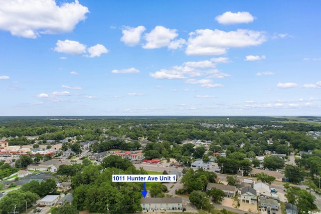 1011 Hunter Ave Unit 1, North Myrtle Beach, SC 29582 - bird's eye view of a heavily wooded area