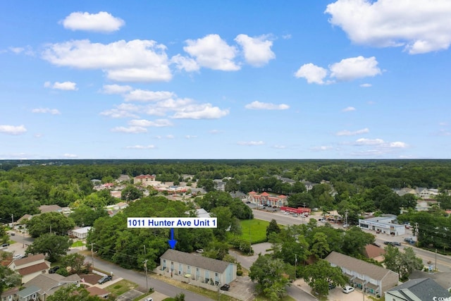 1011 Hunter Ave Unit 1, North Myrtle Beach, SC 29582 - aerial view of a heavily wooded area