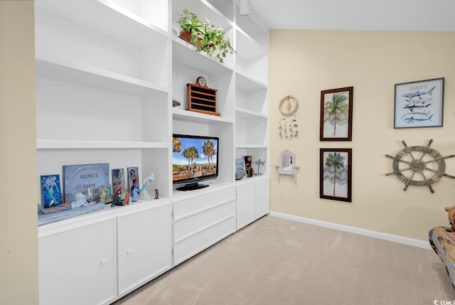 617 14th Ave S Unit 83, Surfside Beach, SC 29575 - photo 22