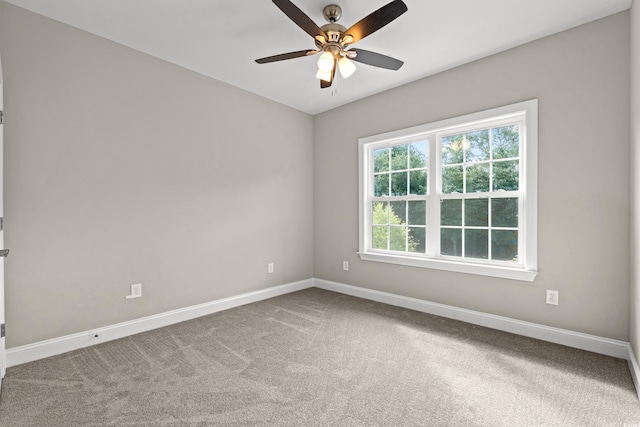 342 Kiskadee Loop Unit E, Conway, SC 29526 - photo 17