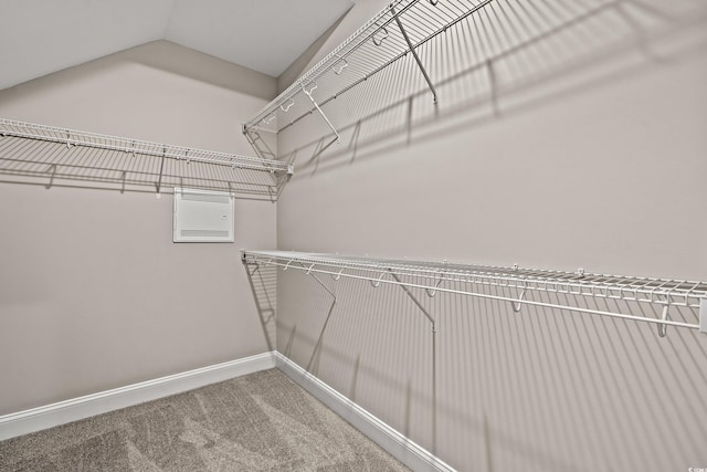 342 Kiskadee Loop Unit E, Conway, SC 29526 - photo 24