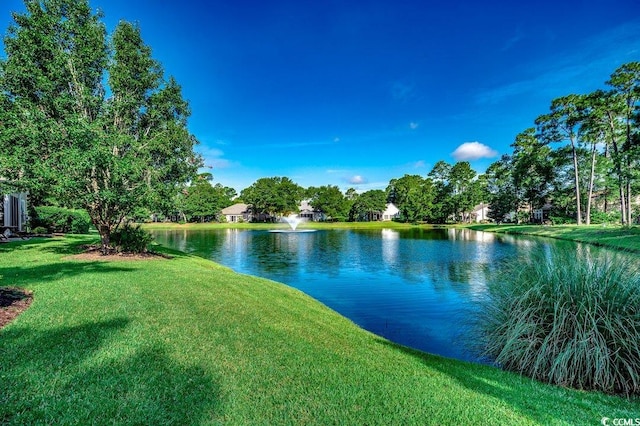 141 Wickham Ct, Pawleys Island, SC 29585 - photo 32