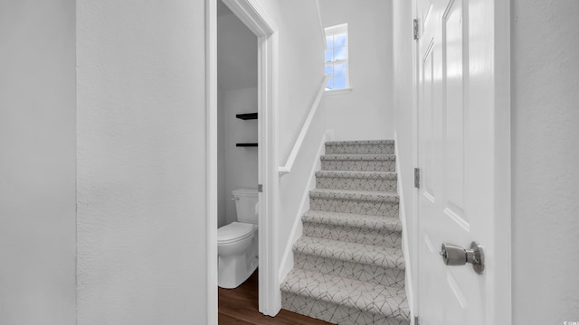 526 Eagleton Ct, Longs, SC 29568 - photo 12